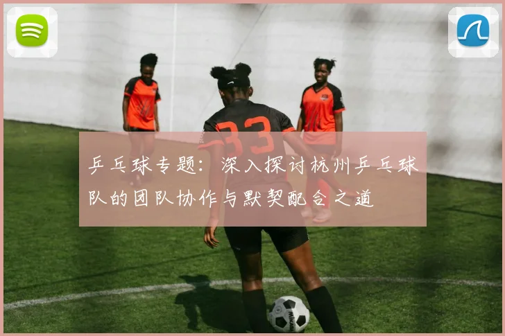 乒乓球专题：深入探讨杭州乒乓球队的团队协作与默契配合之道