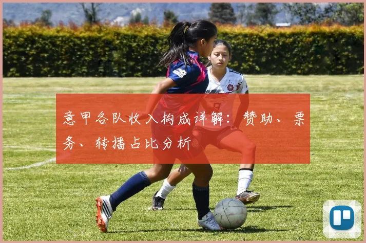 意甲各队收入构成详解:赞助、票务、转播占比分析