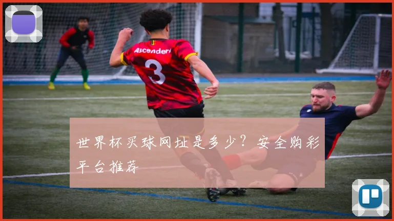 世界杯买球网址是多少？安全购彩平台推荐