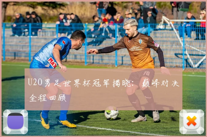 U2O男足世界杯冠军揭晓:巅峰对决全程回顾