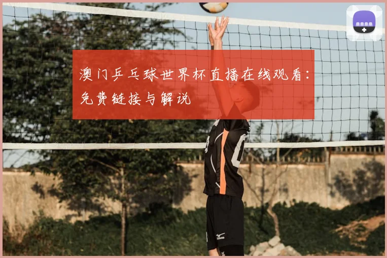 澳门乒乓球世界杯直播在线观看：免费链接与解说
