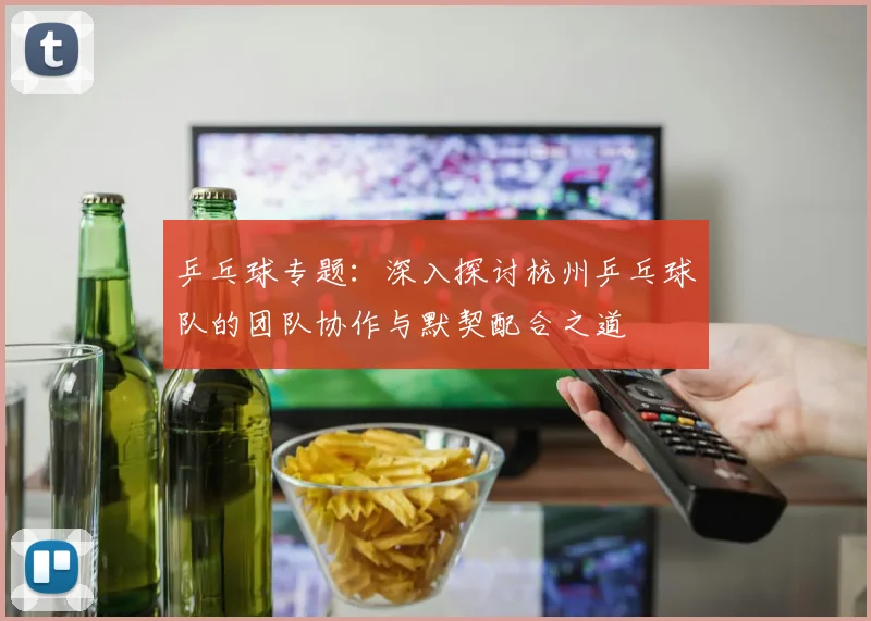 乒乓球专题：深入探讨杭州乒乓球队的团队协作与默契配合之道