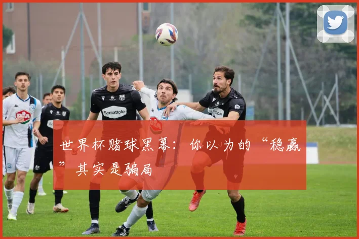 世界杯赌球黑幕：你以为的“稳赢”其实是骗局